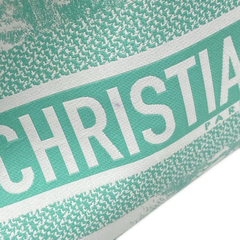 Dior Christian Pouch Travel Nomad Green White