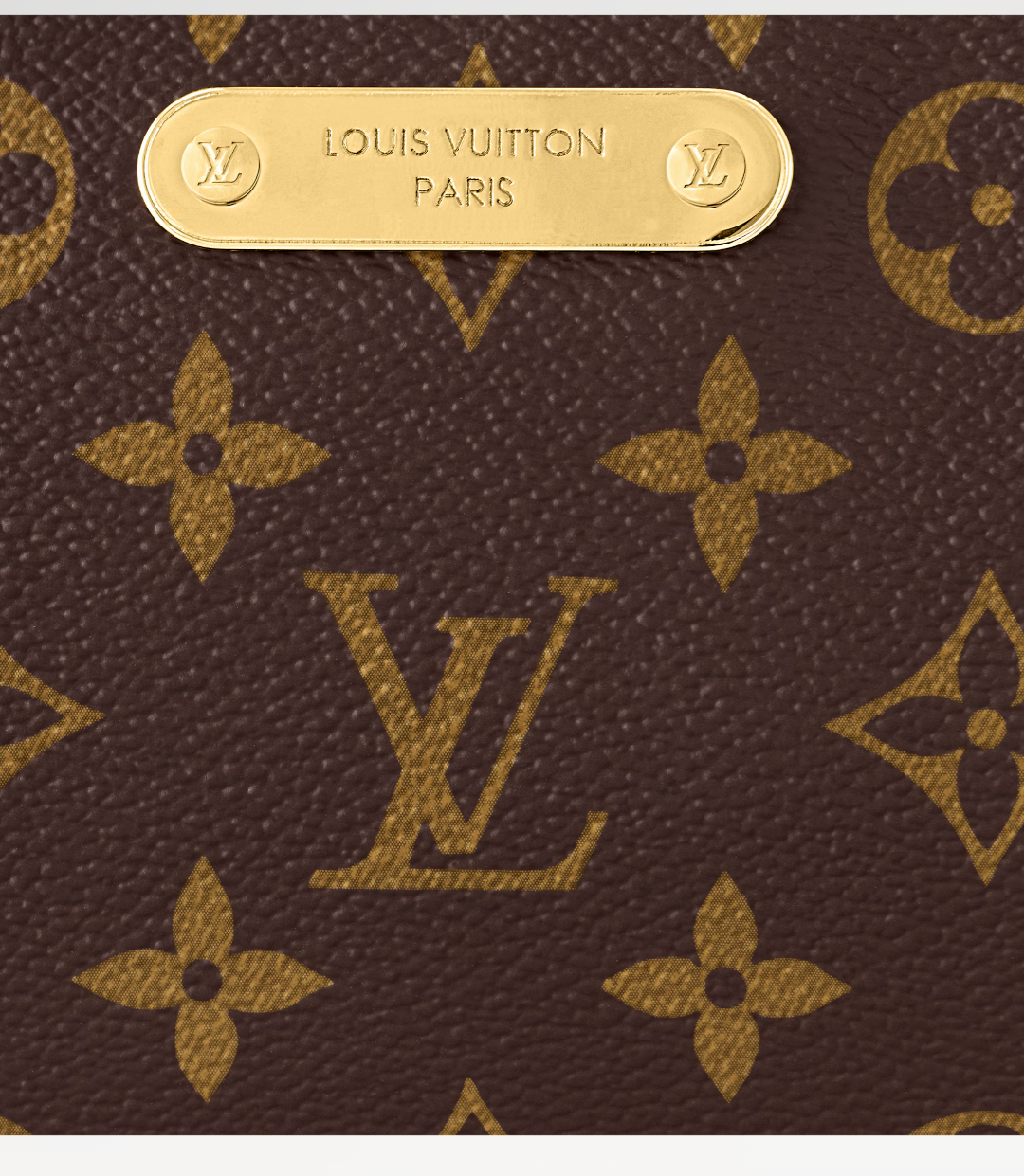 Louis Vuitton Liv Pochette