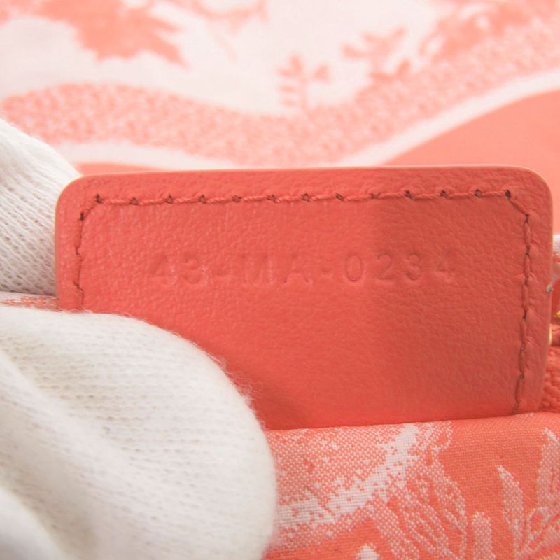 Christian Diortravel Zip Pouch Technical Fabric Pink Pouch 1895