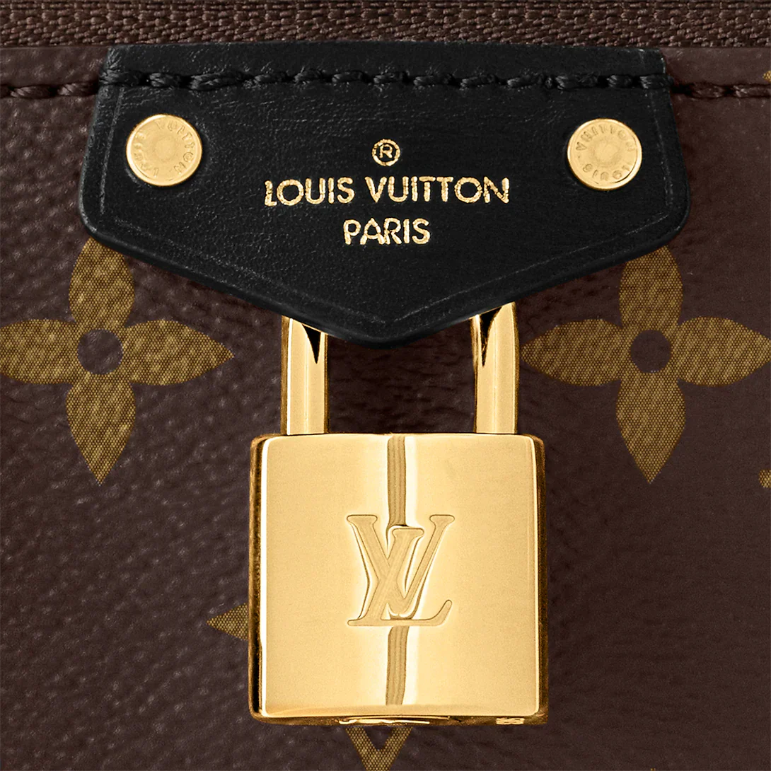 Louis vuitton Vanity Chain Pouch