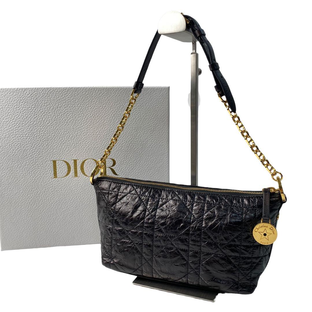 Diorstar Hobo Bag 24 SS